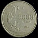 1994_Turkey_5000_Lira.JPG