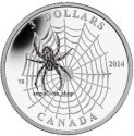 2014__3_Canada_Spider_and_Web-.jpg